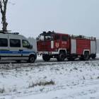 Fotka nr 5 z 7