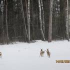 zdjęcie nr 7