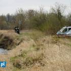 zdjęcie nr 12