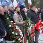 zdjęcie nr 37