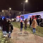 zdjęcie nr 7