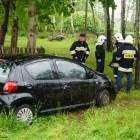 Fotka nr 3 z 6