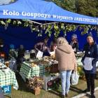 zdjęcie nr 13