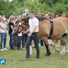 zdjęcie nr 15