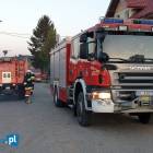 Fotka nr 1 z 12