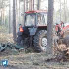 zdjęcie nr 9