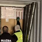Fotka nr 1 z 3