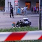 Fotka nr 2 z 16
