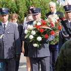 zdjęcie nr 43