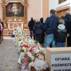 zdjęcie nr 14