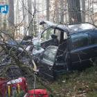 Fotka nr 2 z 14