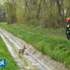 Fotka nr 1 z 8