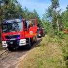 Fotka nr 5 z 6