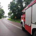 zdjęcie nr 9