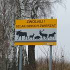 Fotka nr 1 z 4
