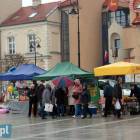 zdjęcie nr 23
