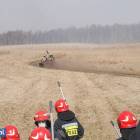 zdjęcie nr 11