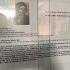 zdjęcie nr 15