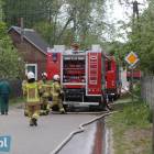 Fotka nr 4 z 17