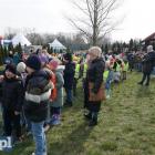 zdjęcie nr 7