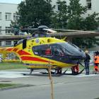 zdjęcie nr 8