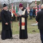 zdjęcie nr 39