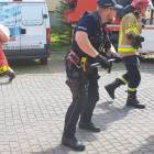 Fotka nr 2 z 11