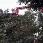Fotka nr 3 z 11