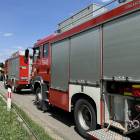 Fotka nr 1 z 8