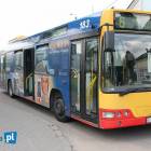 zdjęcie nr 10