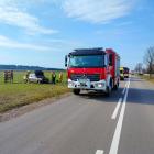 Fotka nr 4 z 10
