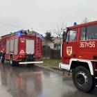 Fotka nr 5 z 6