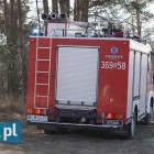 Fotka nr 4 z 9