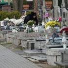 zdjęcie nr 20