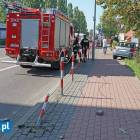 Fotka nr 5 z 9