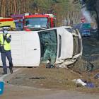 Fotka nr 2 z 17