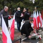 zdjęcie nr 7