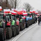 zdjęcie nr 11