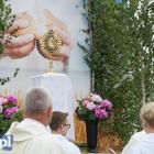 zdjęcie nr 34