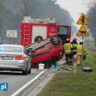 zdjęcie nr 7