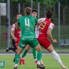 zdjęcie nr 13