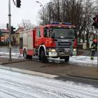 Fotka nr 5 z 9