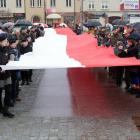 zdjęcie nr 14