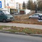Fotka nr 2 z 3