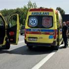 Fotka nr 5 z 8