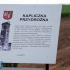 zdjęcie nr 8