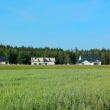 zdjęcie nr 