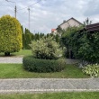 zdjęcie nr 