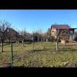 zdjęcie nr 