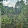 zdjęcie nr 